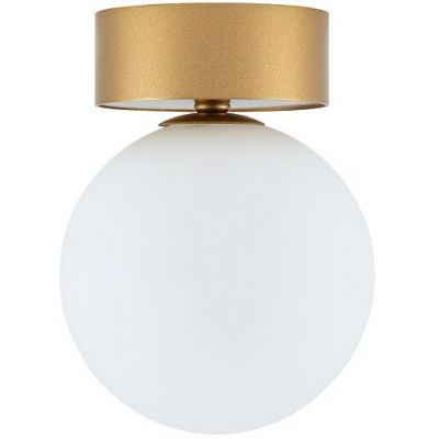 Nowodvorski Lighting Kier lampa podsufitowa 1x12 W biała-złoty satynowy 10623