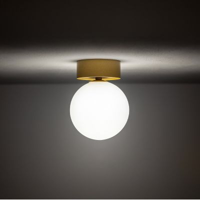 Nowodvorski Lighting Kier lampa podsufitowa 1x12 W biała-złoty satynowy 10623