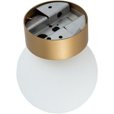 Nowodvorski Lighting Kier lampa podsufitowa 1x12 W biała-złoty satynowy 10623