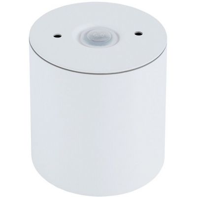 Nowodvorski Lighting Ceara lampa podsufitowa 1x15 W biała 10715