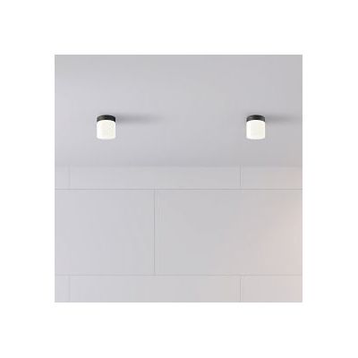 Nowodvorski Lighting Cayo lampa podsufitowa 1x40W czarna/biała 8055