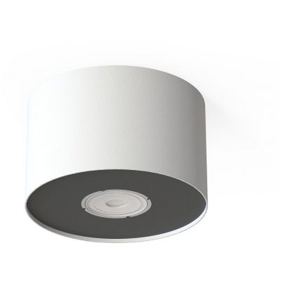 Nowodvorski Lighting Point lampa podsufitowa 1x10 W biała-srebrna-grafitowa 6000