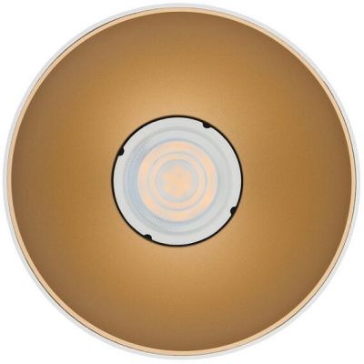 Nowodvorski Lighting Point Tone lampa podsufitowa 1x10 W biała-złota 8221