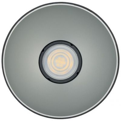 Nowodvorski Lighting Point Tone lampa podsufitowa 1x10 W czarna-srebrna 8223