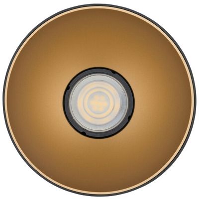 Nowodvorski Lighting Point Tone lampa podsufitowa 1x10W czarny/złoty 8224