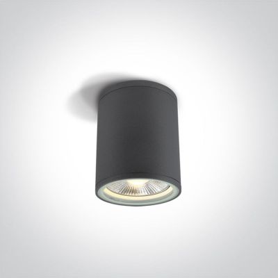 One Light lampa podsufitowa zewnętrzna 1x75W antracyt 67132C/AN