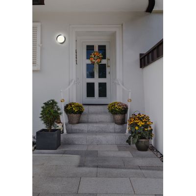 Osram Endura Style Disc kinkiet zewnętrzny 1x8 W stal