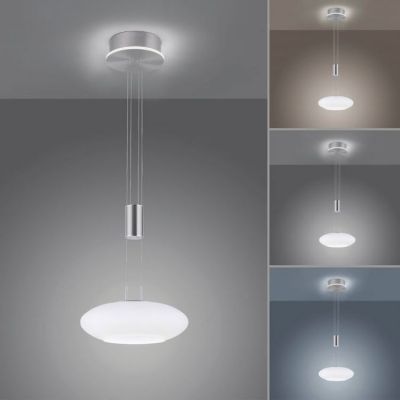 Paul Neuhaus Q-Etienne lampa wisząca 1x27,5W/1x6,3W LED stal 2075-55