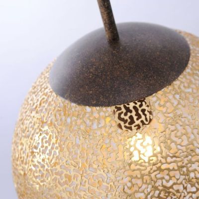 Paul Neuhaus Greta lampa wisząca 1x60W brązowa/złota 2420-48