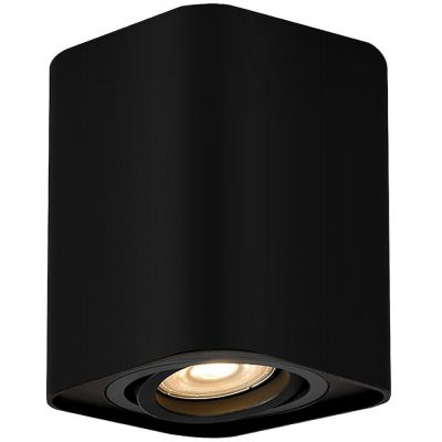 Rabalux Kobald lampa podsufitowa 1x42W czarny mat 2049