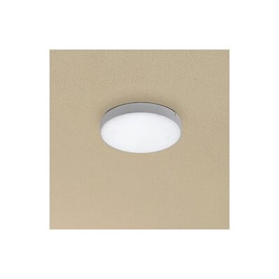 Rabalux Tartu plafon zewnętrzny 1x24W LED biały mat 7894