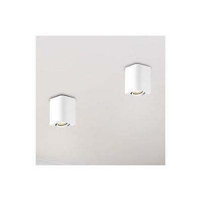 Rabalux Kobald lampa podsufitowa 1x42W biały mat 2050