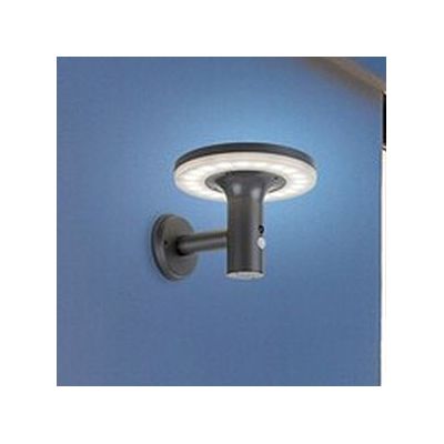 Rabalux Alaska kinkiet zewnętrzny 1x10W solarny z czujnikiem ruchu antracyt 77017