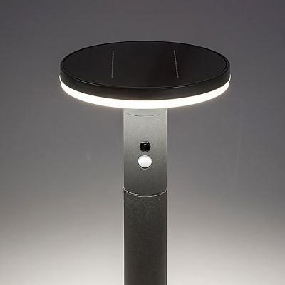 Rabalux Alaska lampa stojąca zewnętrzna 1x10W solarna z czujnikiem ruchu antracyt 77018