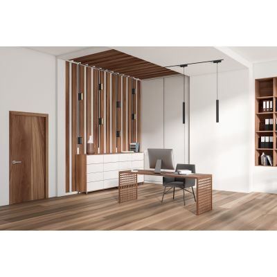 Rabalux LiTrack Line lampa do szynoprzewodów 1x12 W czarny 70117