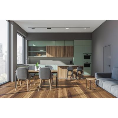 Rabalux LiTrack Line lampa do szynoprzewodów 1x12 W czarny 70117