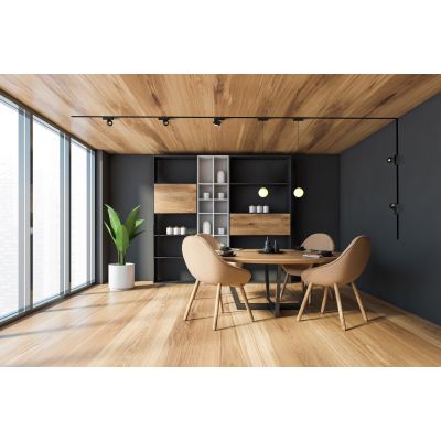 Rabalux LiTrack Pendant lampa do szynoprzewodów 1x5 W biały-czarny 70131