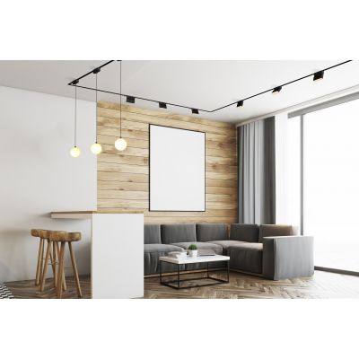 Rabalux LiTrack Pendant lampa do szynoprzewodów 1x5 W biały-czarny 70131