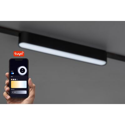 Rabalux LiTrack Line lampa do szynoprzewodów 1x13 W czarny 70124