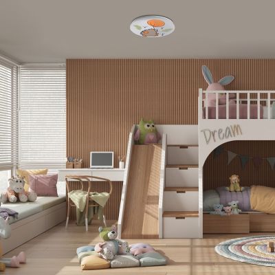 Rabalux Hedgy plafon 1x24 W biały-multikolor 71191