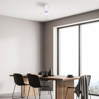 Rabalux Ovidia lampa podsufitowa 1x20 W biała 71328