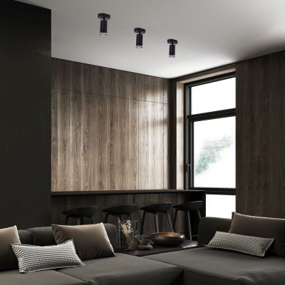 Rabalux Senobia lampa podsufitowa 1x35 W czarna 73033