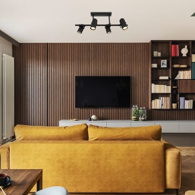 Rabalux Maximilian lampa podsufitowa 4x25 W czarna 73044