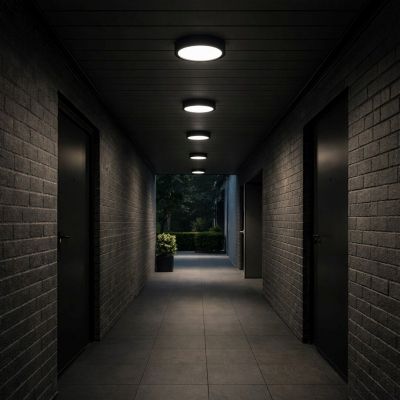 Rabalux Shaun Plus plafon zewnętrzny 1x30 W czarna 75076