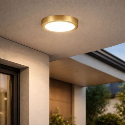 Rabalux Shaun Plus plafon zewnętrzny 1x30 W złota 75079