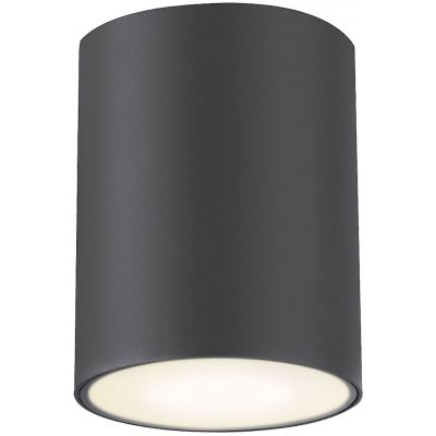 Rabalux Zombor lampa podsufitowa zewnętrzna 1x35W antracyt 7819