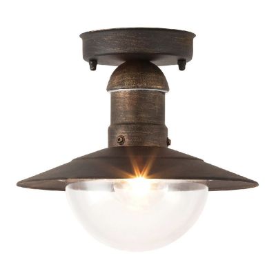 Rabalux Oslo lampa podsufitowa zewnętrzna 1x60 W złota 8736