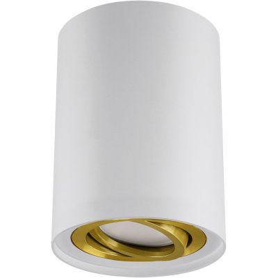 Strühm Hary lampa podsufitowa 1x35 W biała 04239