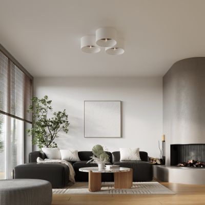 Sollux Lighting Telesto lampa podsufitowa 1x15 W biała- ciemny brąz SL.1392