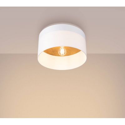 Sollux Lighting Telesto lampa podsufitowa 1x15 W biała- jasny brąz SL.1393