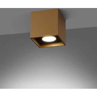 Sollux Lighting Quad lampa podsufitowa 1x10 W złota SL.1182