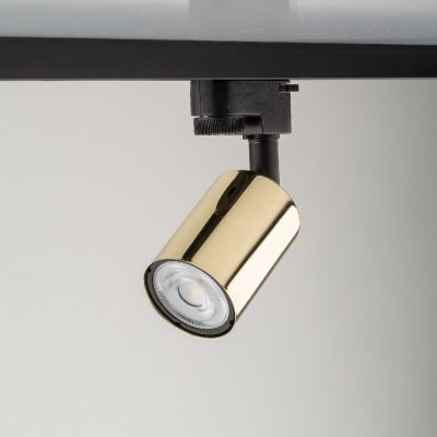 TK Lighting Tracer lampa do szynoprzewodów 1x10 W złoty 4921