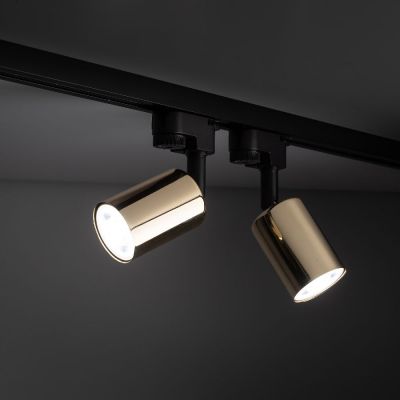 TK Lighting Tracer lampa do szynoprzewodów 1x10 W złoty 4921