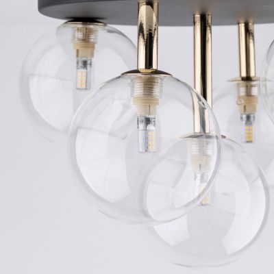 TK Lighting Nilos lampa podsufitowa 5x6 W czarna-złota 758