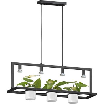 Zuma Line Planter lampa wisząca 4x7W LED czarny P0536-04B-P7AB