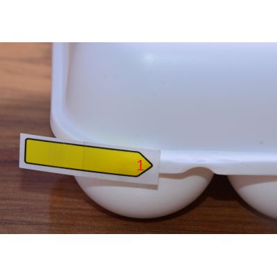 Outlet - Koziol Eggs To Go pojemnik na jajka biały 3179525