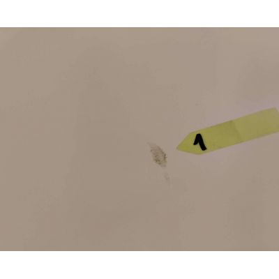 Outlet - Sanplast Free Line wanna prostokątna 170x75 cm WPdo/FREE+STW 610-040-0160-01-000