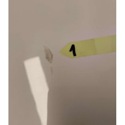 Outlet - Sanplast Free Line wanna prostokątna 170x75 cm WPdo/FREE+STW 610-040-0160-01-000