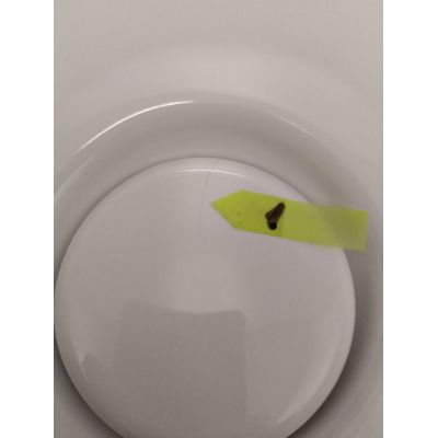 Outlet - Roca Ohtake umywalka 38x38 cm nablatowa biała A327A15000