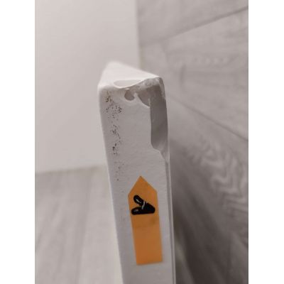 Outlet - Roca Terran brodzik prostokątny 100x70 cm biały AP1013E82BC01100