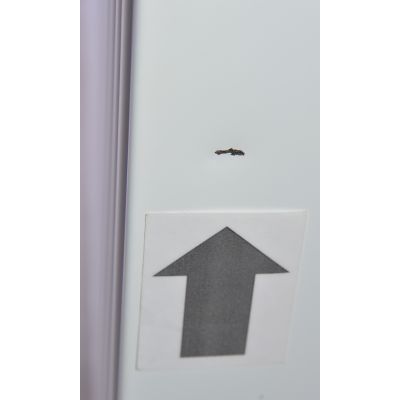 Outlet - Purmo Ventil Compact grzejnik płytowy z podłączeniem dolnym CV22x600x1000