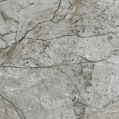 Opoczno Essential grey polished płytka ścienno-podłogowa 79,8x79,8 cm szary poler