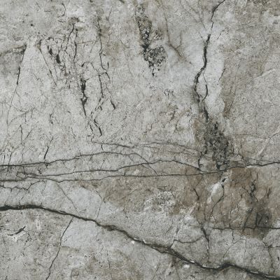 Opoczno Essential grey polished płytka ścienno-podłogowa 79,8x79,8 cm szary poler