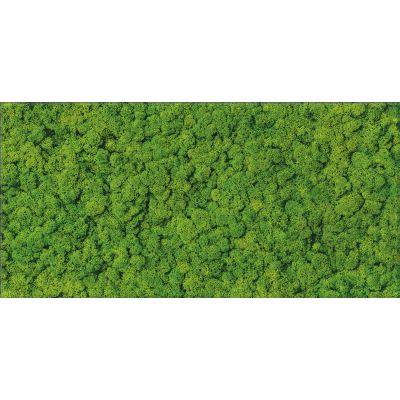Cersanit Fresh Moss glass inserto dekor ścienny 29x59 cm zielony połysk