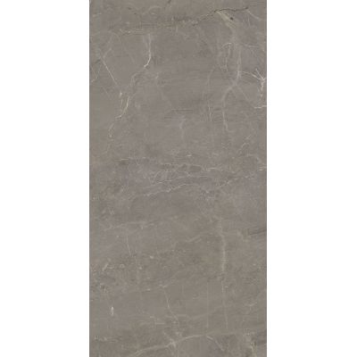 Paradyż Wonderstone Light Grey płytka ścienno-podłogowa 59,8x119,8 cm