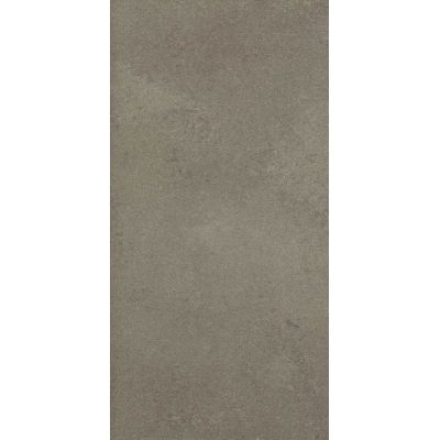 Paradyż Naturstone płytka ścienno-podłogowa 29,8x59,8 cm szara